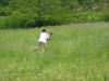 DSCN0676