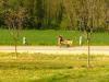 Camp Paques 2006 00175